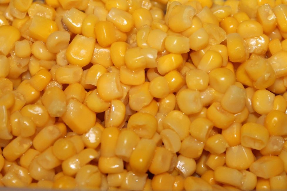 Kína kukoica import