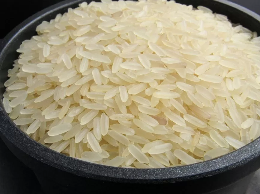 ahl rice 7003522 1280