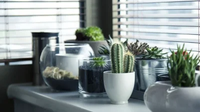 ahl pots 716579 1280