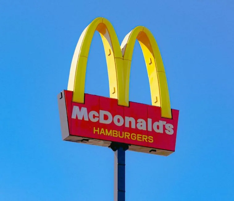 ahl pexels joao vitor 283688826 17355355 1