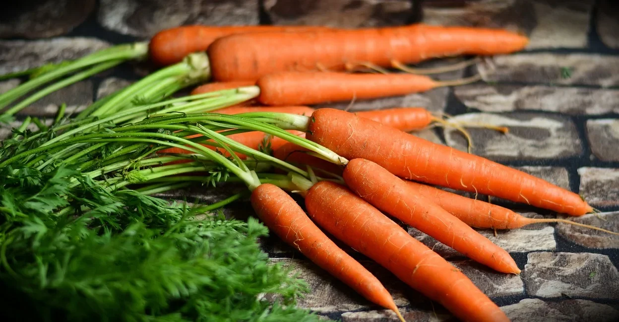 ahl carrots 2387394 1280