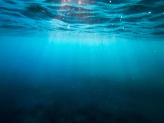 ahl cristian palmer XexawgzYOBc unsplash