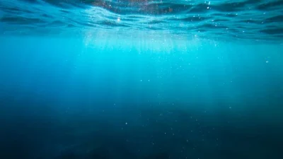 ahl cristian palmer XexawgzYOBc unsplash