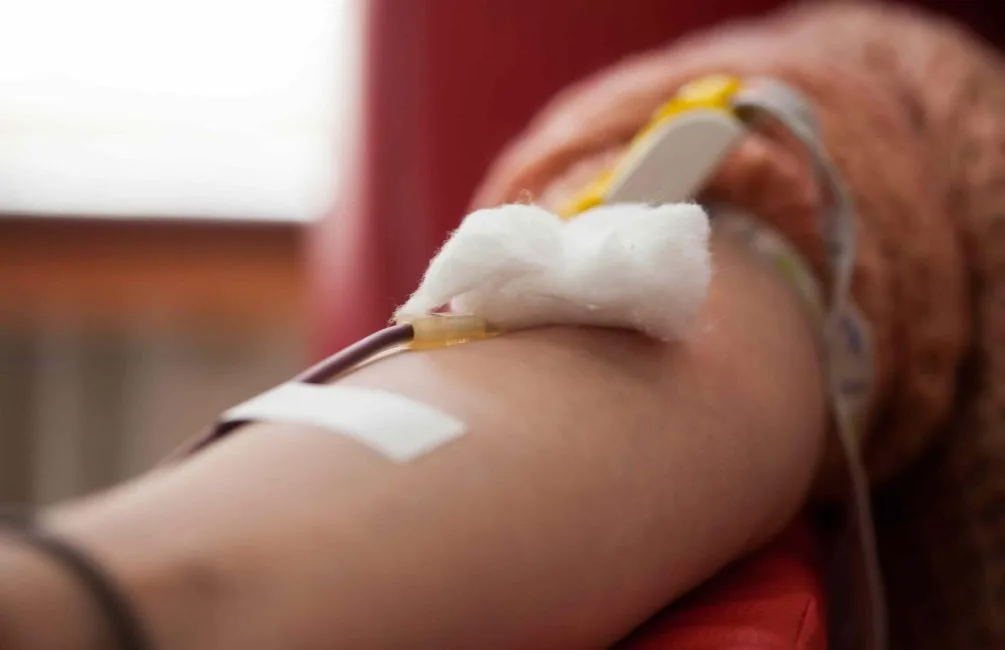 ajun plazmacenter.hu 2025 junius LinkMarketing 2