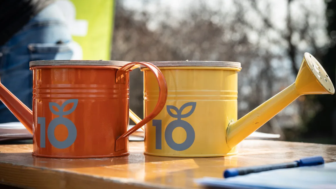 alocsolas 10 millio fa