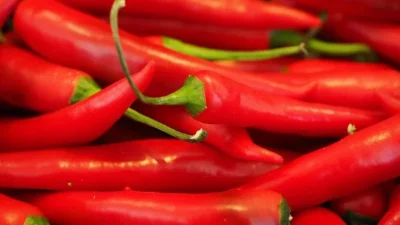 ahl chili 499062 1280