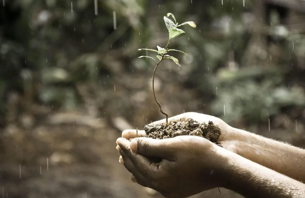 aszep https automataontozorendszer.com 2025 szeptember Cikk2