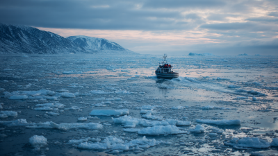 abarrobi A high resolution image2 1