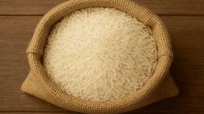 ahl rice 9717531 1280