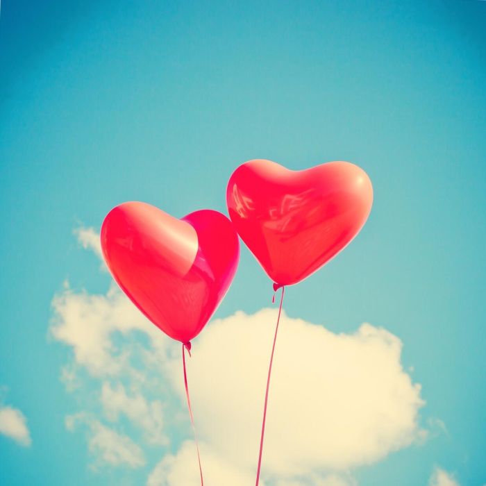 anov desirel.de 2025 november Cikk 4