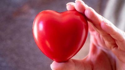 anov desirel.fr 2025 november Cikk 2