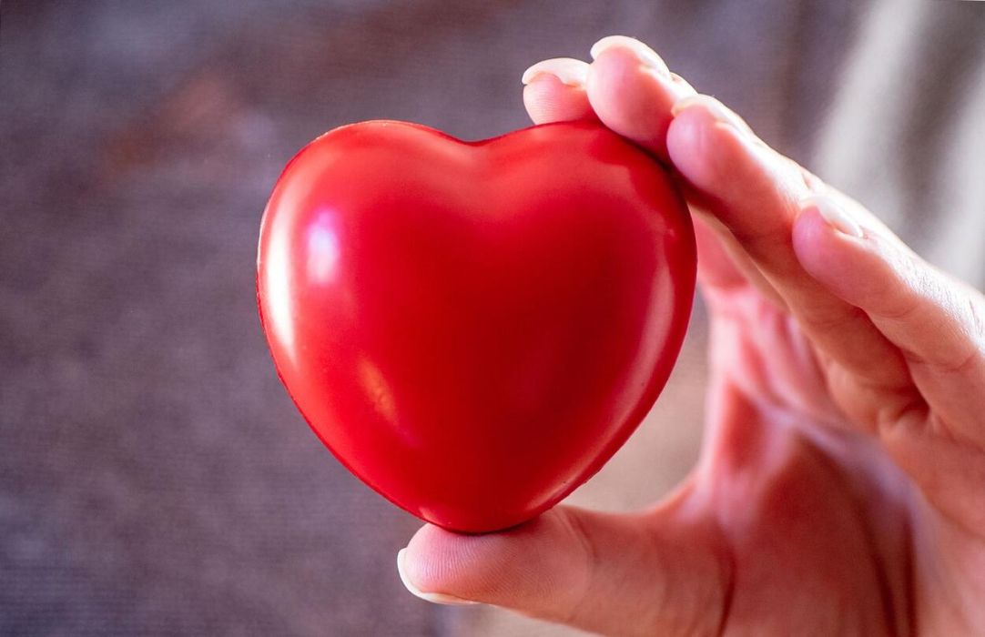 anov desirel.fr 2025 november Cikk 2