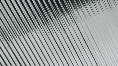 adec texture 4889163 1280