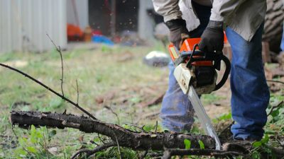 adec tim umphreys wC2cp8NbaTQ unsplash