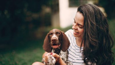 ajan httpswww.kutyakajas.hu 2026 januar Cikk4