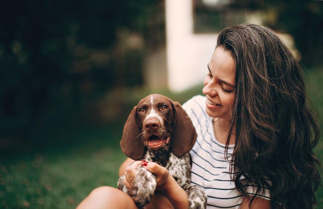 ajan httpswww.kutyakajas.hu 2026 januar Cikk4