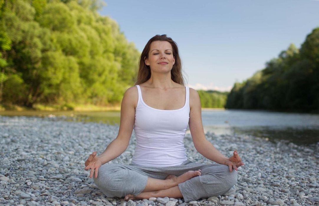 afeb vikineziologia.hu 2026 februar LinkMarketing 2