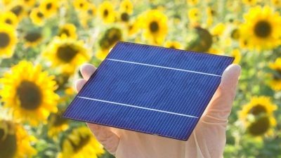 afeb www.akku elem.hu 2026 februar LinkMarketing 6