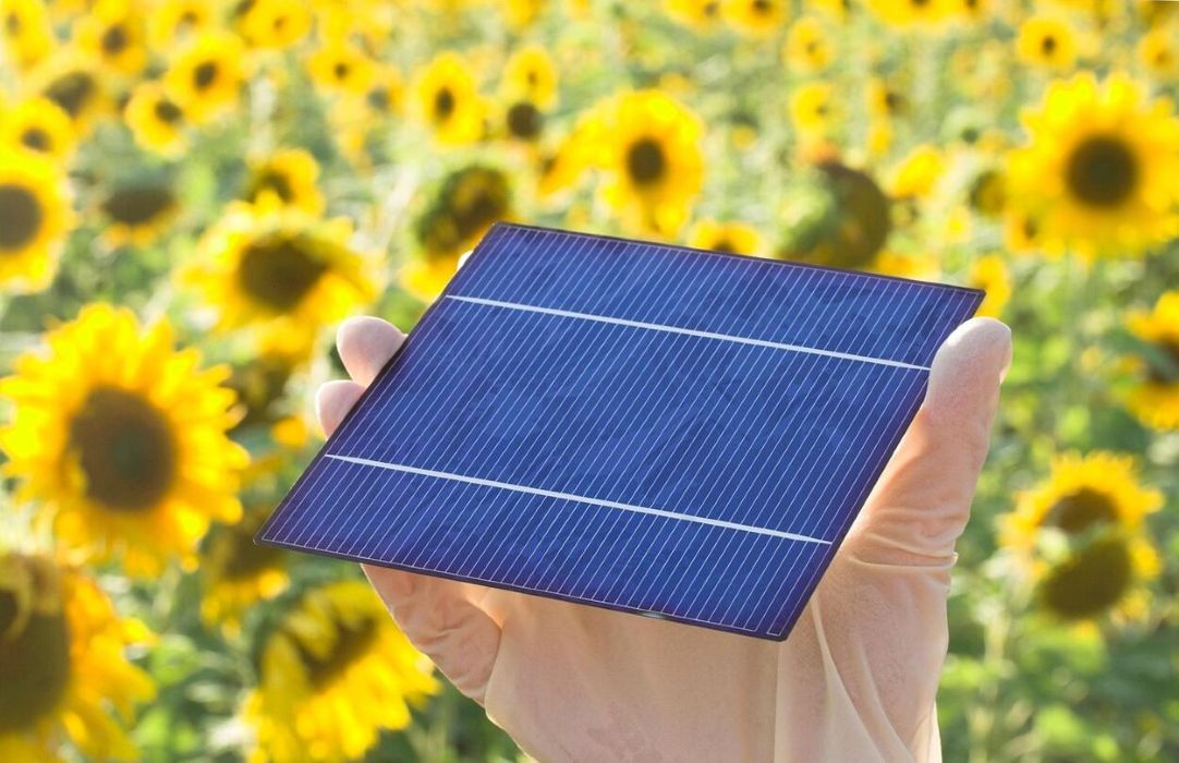 afeb www.akku elem.hu 2026 februar LinkMarketing 6