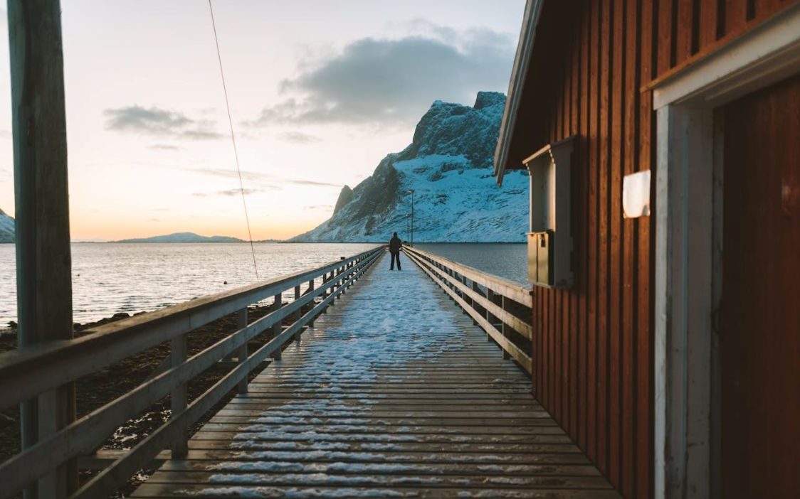 ahl pexels simonmigaj 911085