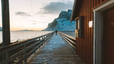 ahl pexels simonmigaj 911085