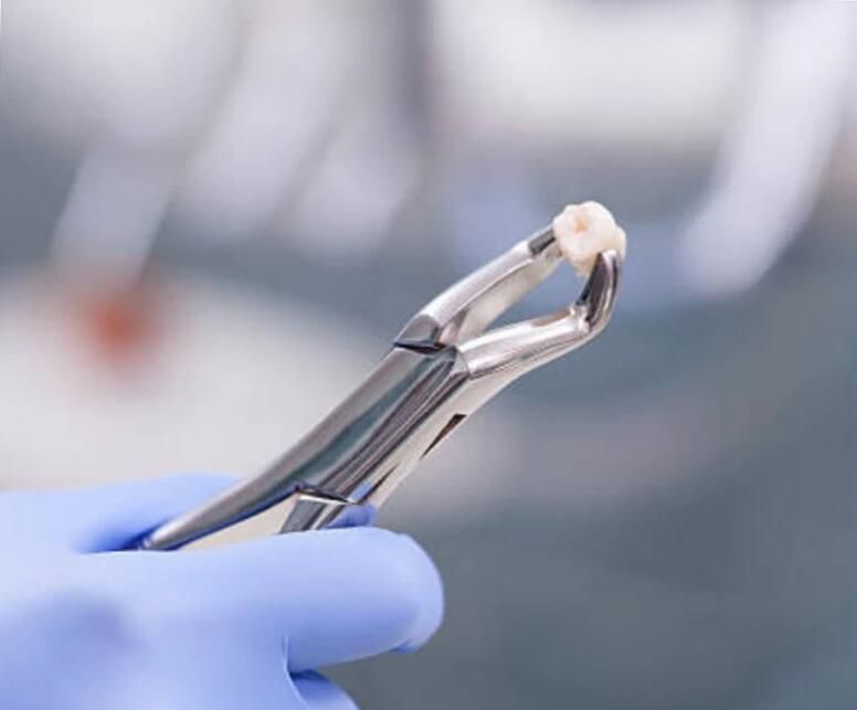 amarc dentha.hu 2026 marcius LinkMarketing 4