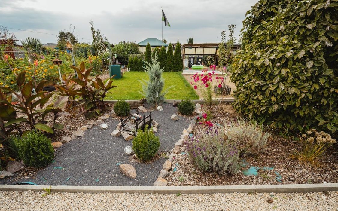 pexels timonreinhard 29974380