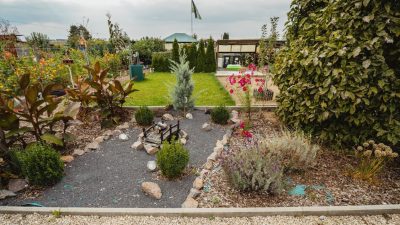 pexels timonreinhard 29974380